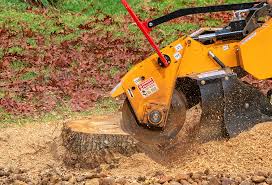 Lawn Edging in Elm City, NC